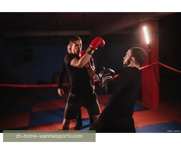 拳击运动的魅力与技艺：强者之路