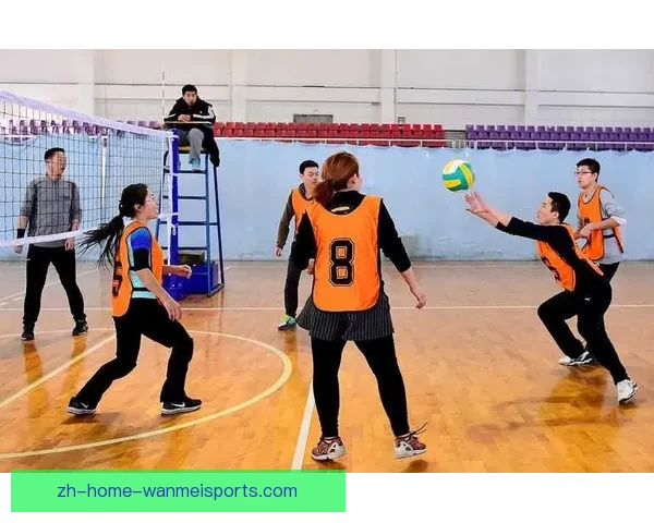 气排球：探索新领域，挑战极限