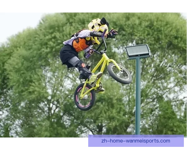 BMX赛事大数据分析：预测未来比赛风云变幻