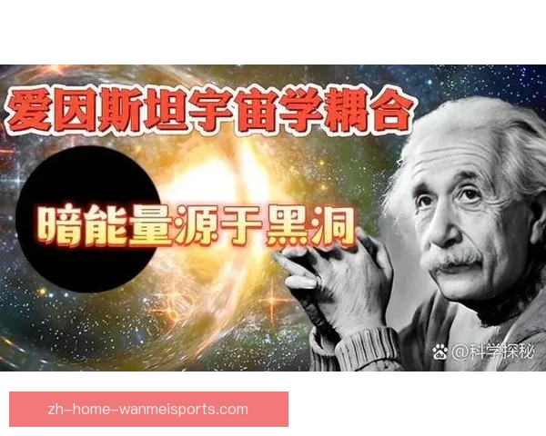 冲浪数据分析:揭示浪潮中隐藏的规律 冲浪数据分析:揭示浪潮中隐藏的规律