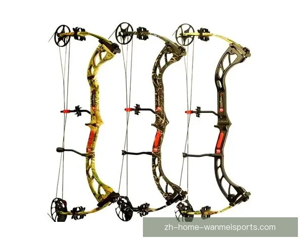 射箭历史：弓箭之道传承与演变