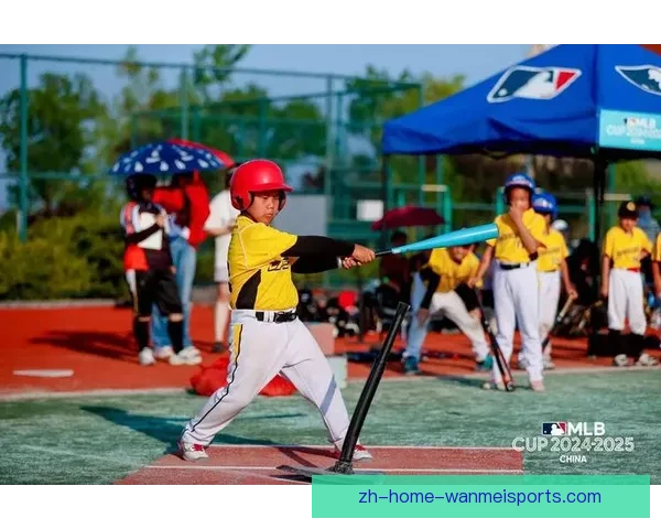 棒球公开赛全面解读