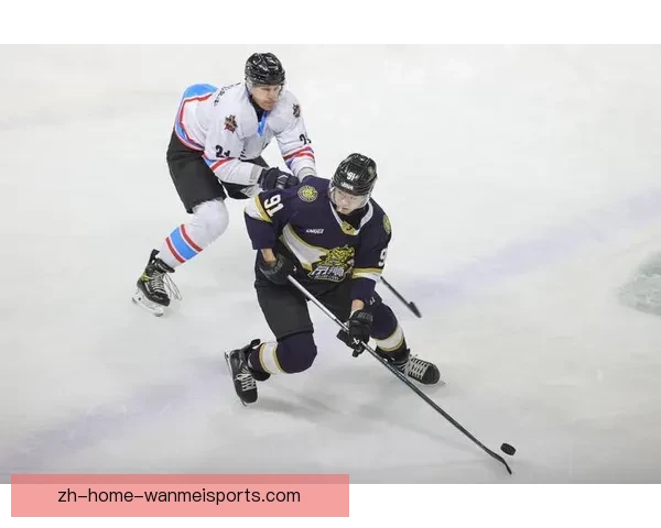 最新冰球排名及球队情况详解