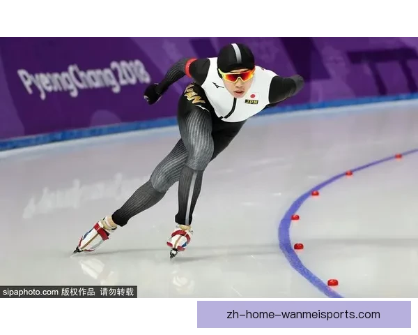 滑冰数据分析:揭秘冰上之美 滑冰数据分析:揭秘冰上之美