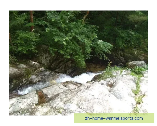 穿越自然挑战：挑战极限，征服山林溪涧