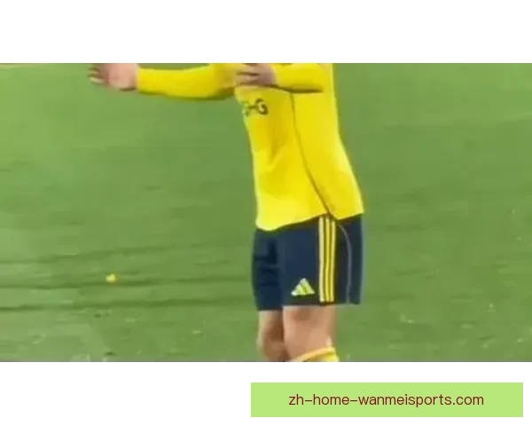 足球赛事风云变幻，智能预测大揭秘